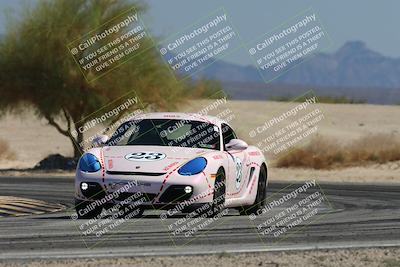 media/Oct-18-2025-PCA San Diego (Sat) [[653db1c827]]/3-Orange/Session 3 Turn 4 Tree of Life/